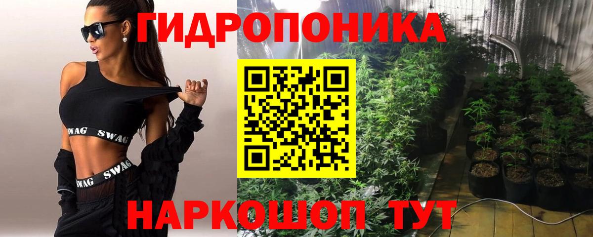 Ишим  Шишки марихуана семена  Шишки марихуана White Widow  Вход с VPN 